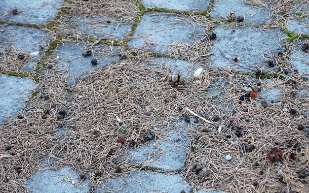 Close-up van het water