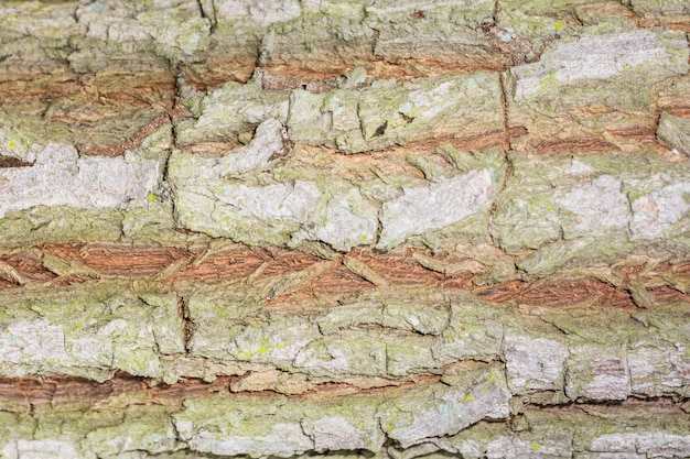 Foto close-up van hout achtergrond