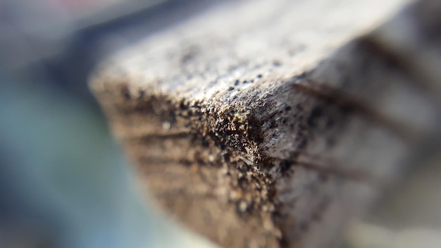 Foto close-up van hout