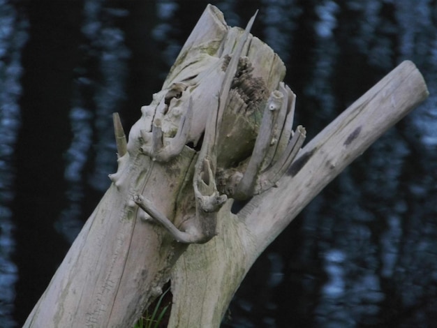 Close-up van houten blokken