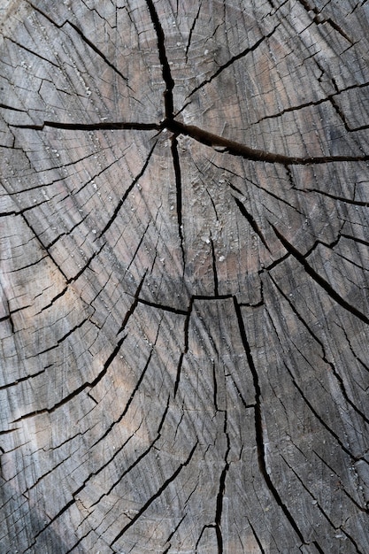 Close-up van houtstructuur met plaatmateriaal van natuurlijke vezels voor de bouw