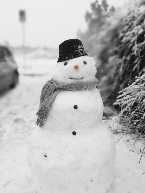 Foto close-up van ijs op sneeuw