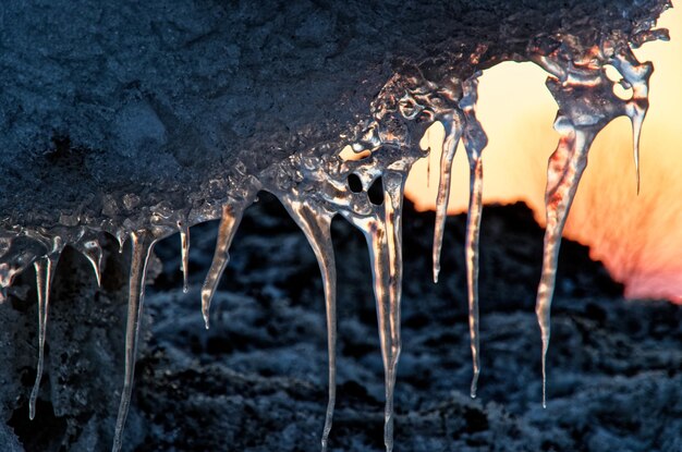 Foto close-up van ijsjes op bomen in de winter