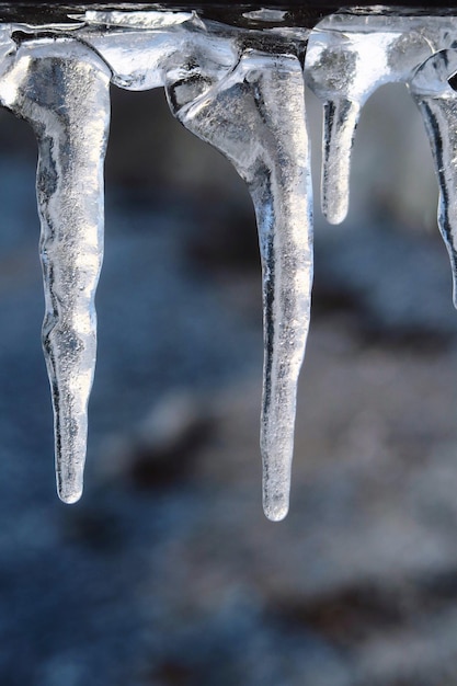 Close-up van ijsjes