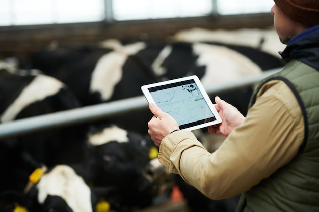 Close-up van jonge mannelijke werknemer van veehouderij met digitale tablet