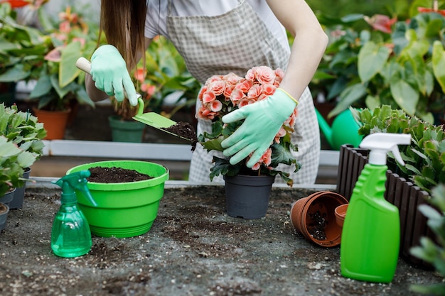 Close-up van jonge vrouw transplanteert planten en zorgt voor bloempotten in kas