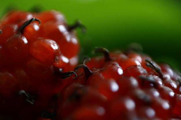 Foto close-up van kersen