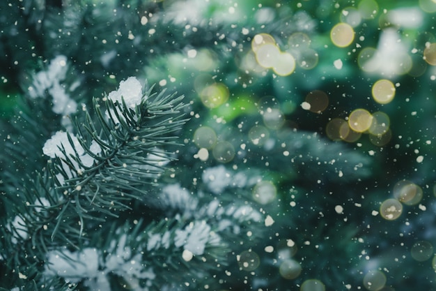 Close-up van Kerstboom met licht, sneeuwvlok. Kerstmis en Nieuwjaar vakantieachtergrond. vintage kleurtoon.