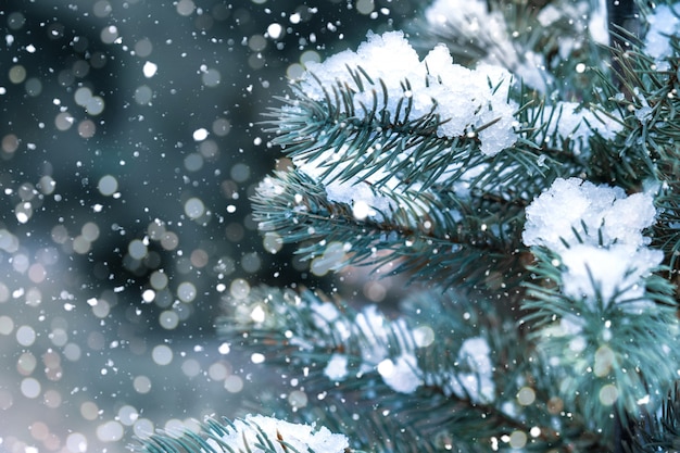Close-up van Kerstboom met licht, sneeuwvlok. Kerstmis en Nieuwjaar vakantieachtergrond. vintage kleurtoon.