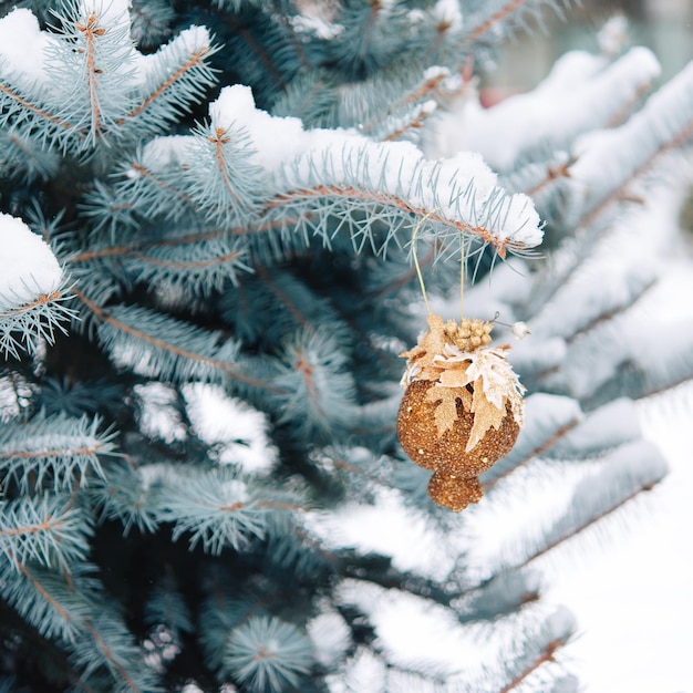 Close-up van kerstboom met lichte Kerstmis en Nieuwjaar vakantie achtergrond