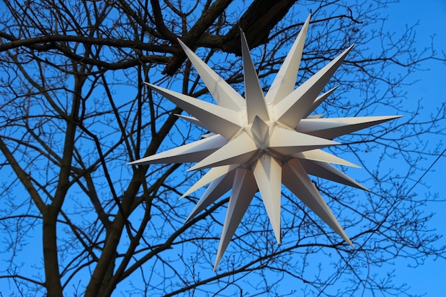 Foto close-up van kerststerlichten op een boom in het park