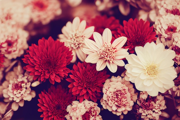 Close-up van kleurrijke bloemen die op witte achtergrond drijven