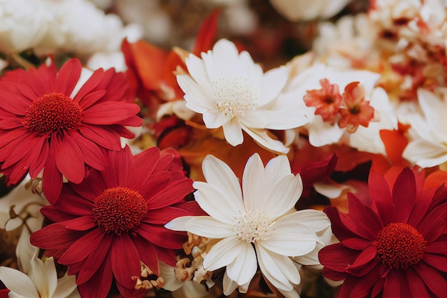 Close-up van kleurrijke bloemen die op witte achtergrond drijven