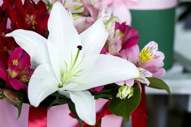 Close-up van kleurrijke bloemen