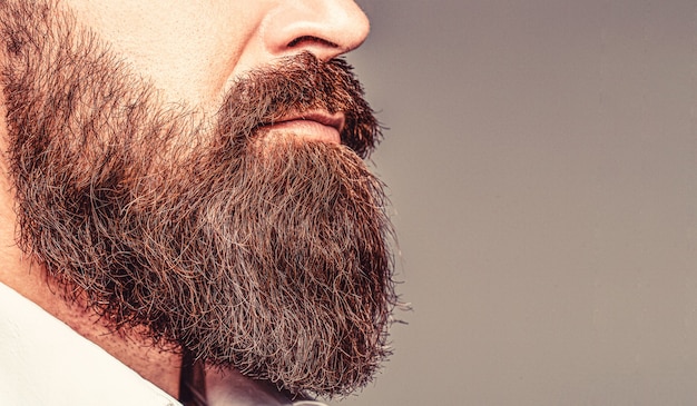 Close up van knappe baard hipster elegante man. Bebaarde man close-up. Baard is zijn stijl. Close-up van bebaarde mans. Man met snor die groeit.