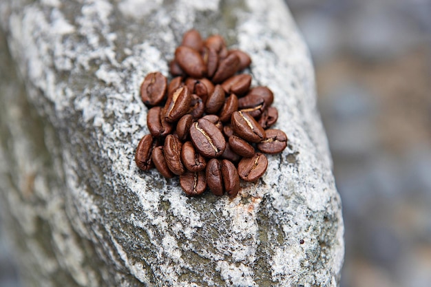 Close-up van koffie op rots.