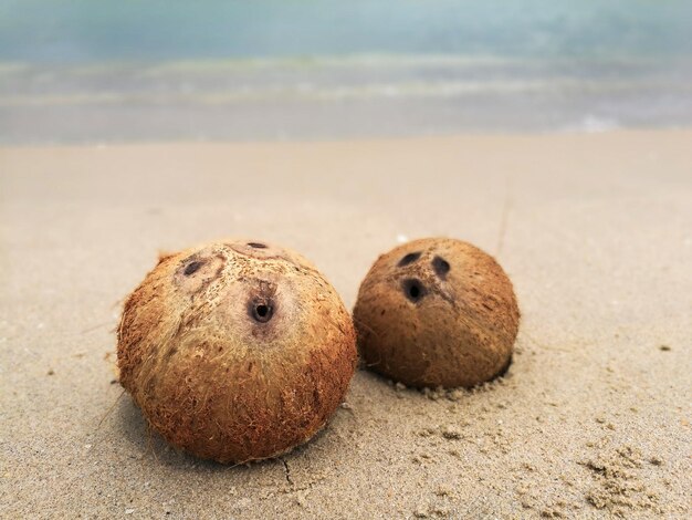 Foto close-up van kokosnoten op het strand