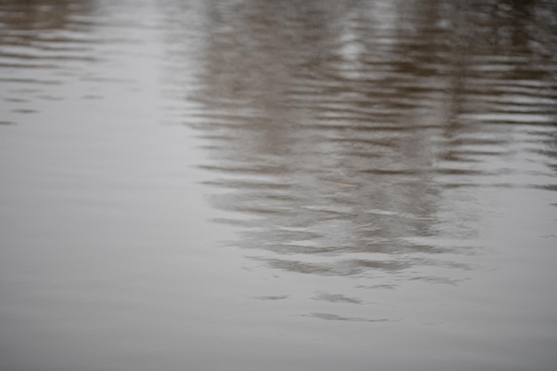 Close-up van koud water in het meer met zachte golven in het herfstseizoen