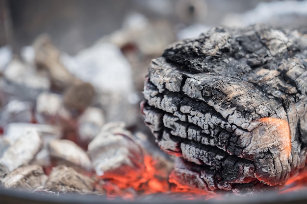 Foto close-up van krab op barbecue grill