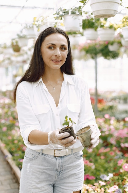 Close up van lachende charmante jonge vrouwelijke tuinman in witte blouse. Vrouw met jonge plant in pot in haar handen. Kaukasische vrouw die in kas staat