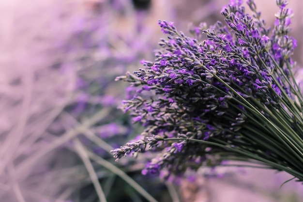 Close-up van lavendel die in de buitenlucht groeit