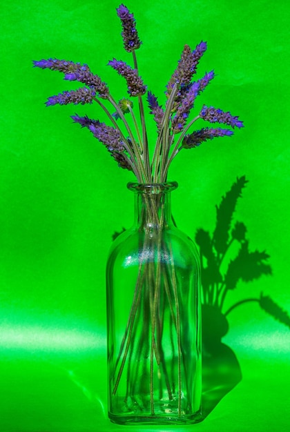 Foto close-up van lavendel in een vaas op tafel