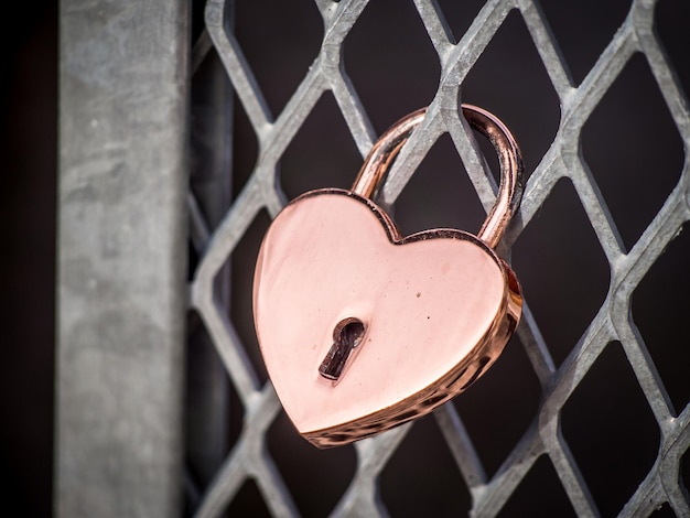 Foto close-up van liefdessloten die aan het hek hangen