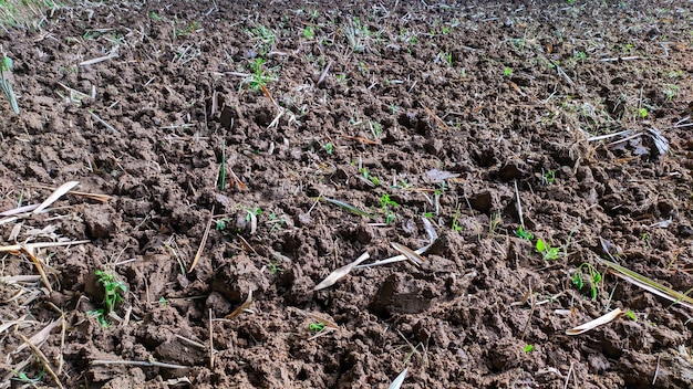 Close-up van losse grond in een veld klaar om te planten