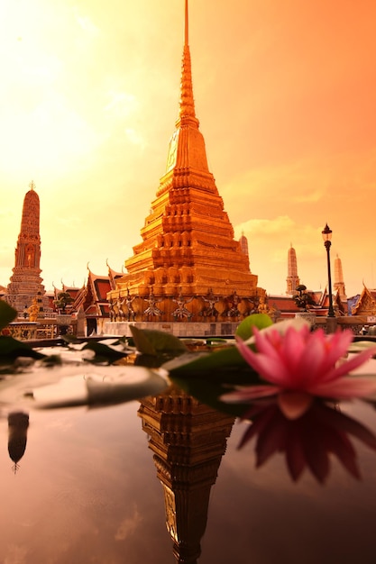 Close-up van lotus bloeien in de vijver tegen de tempel tijdens de zonsondergang