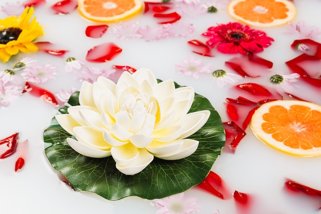 Close-up van lotus met grapefruits en bloemblaadjes op melk