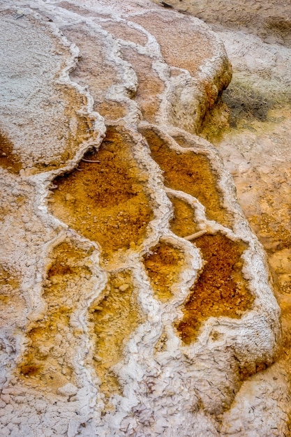 Close-up van Mammoth Hot Springs