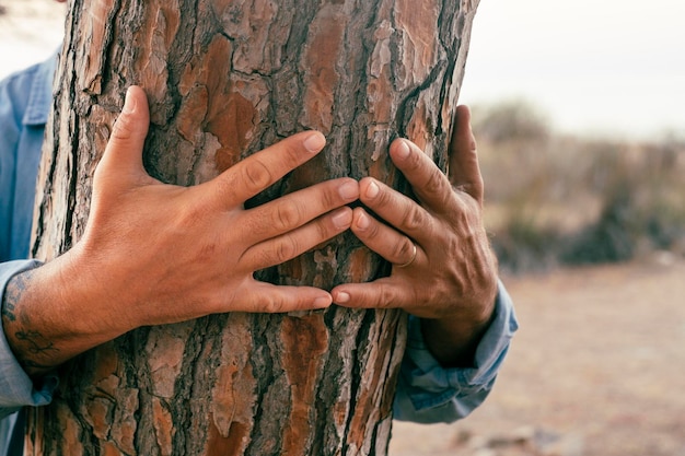 Close-up van man handen op een boomstam Mensen en milieu bescherming tegen klimaatverandering planeet aarde Concept van duurzaam leven Een volwassen man knuffelen de natuur om te beschermen en te redden Liefde levensstijl