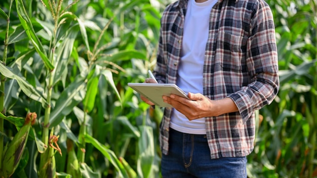 Close-up van mannelijke landarbeider die digitale tablet gebruikt om het proces bij het planten van maïs bij te houden