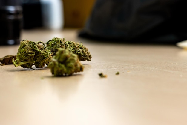 Close-up van medische marihuana toppen selectieve focus