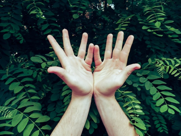 Foto close-up van menselijke hand tegen boom