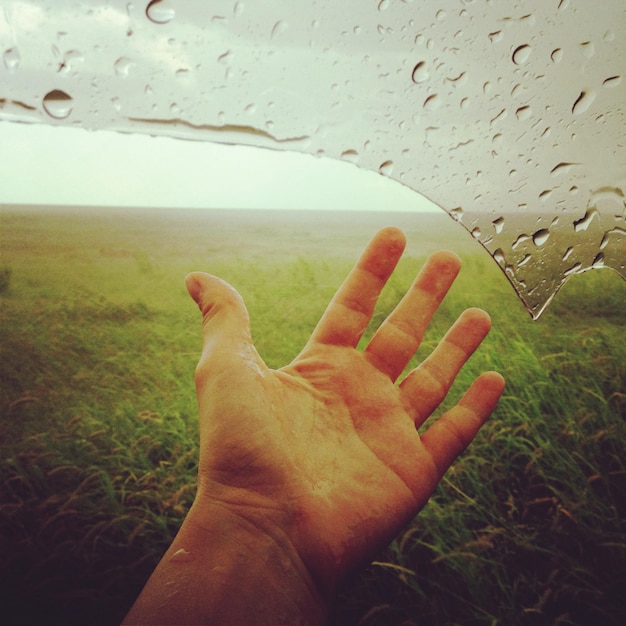 Foto close-up van menselijke handen tegen een groen landschap