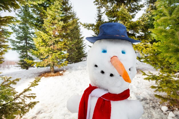 Foto close-up van met sneeuw bedekte bomen op het land tijdens de winter