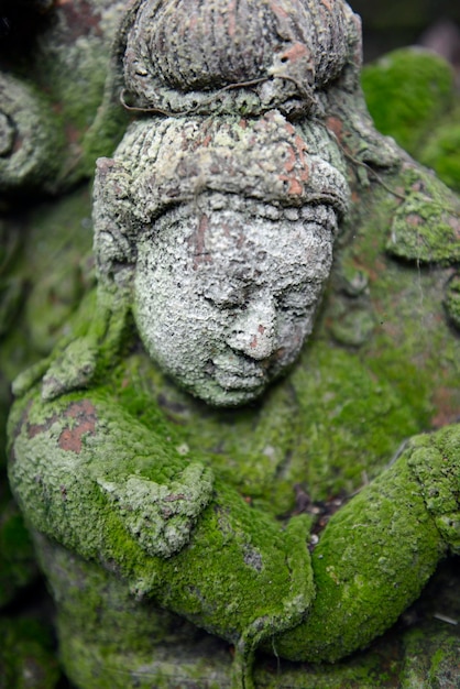 Close-up van mos op beeldhouwwerk