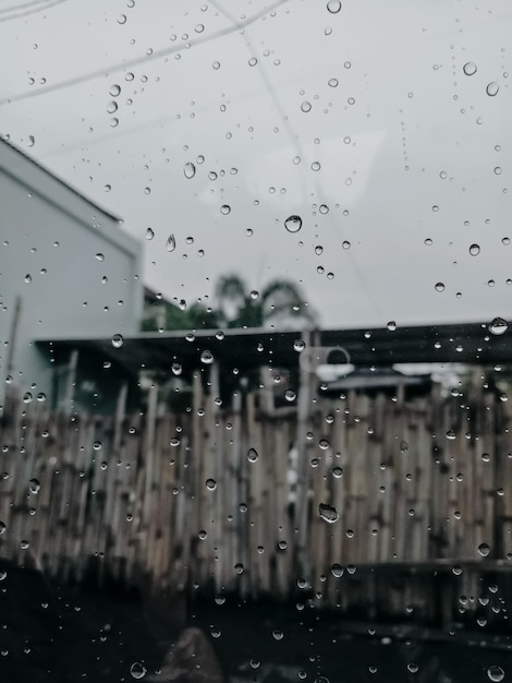 Foto close-up van nat glas tijdens het regenseizoen