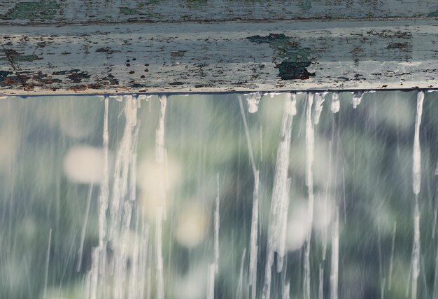 Foto close-up van natte planten tegen de muur