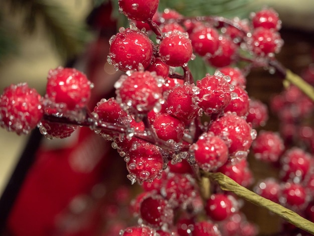 Foto close-up van natte rode bessen