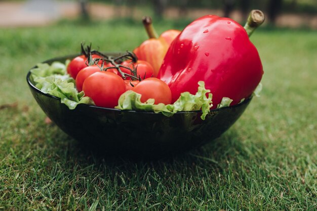 Close-up van natte verse groenten die op plaat op gras liggen. Gezonde rode tomaten, lekkere paprika's, komkommers en groene sla in de tuin. Concept van versheid en zomervoedsel.