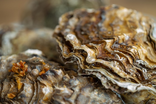 Close up van oesterschelpen zeevruchten selectieve focus