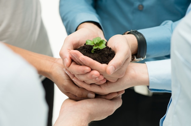 Close-up Van Ondernemers Hand Plant Bij Elkaar Houden