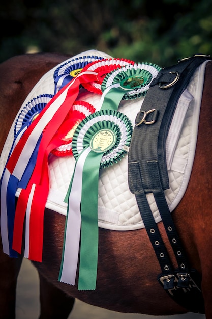 Foto close-up van onderscheiding badges op paard