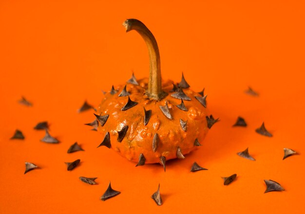 Foto close-up van oranje pompoen met spinnen op oranje achtergrond