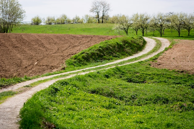 Close-up van oude, lege weg door veld