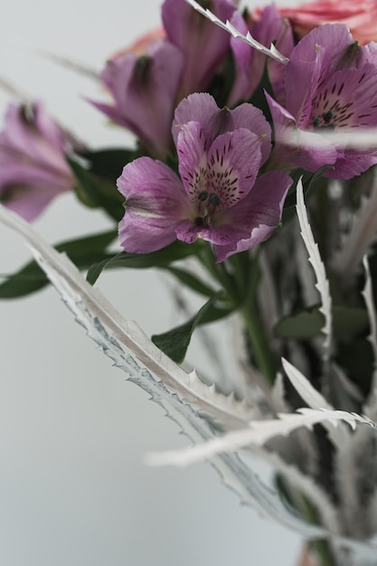 Foto close-up van paarse bloemen op witte achtergrond