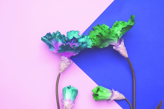 Close-up van paarse bloemen tegen een blauwe achtergrond
