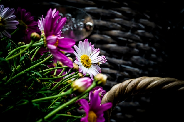 Foto close-up van paarse krokusbloemen